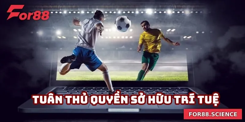 Bản quyền về sản phẩm do nhà cái đảm bảo