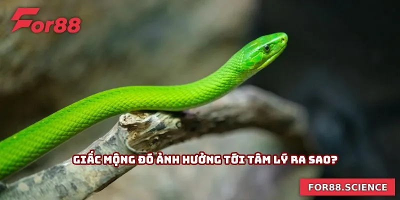 Giấc mộng đó ảnh hưởng tới tâm lý ra sao?